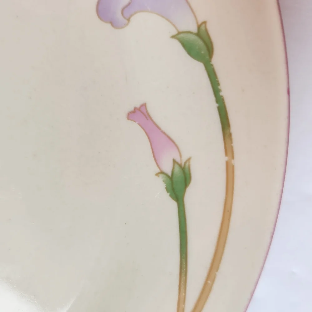 Set of 4 Vintage Sango Primavera Morning Glory Stoneware Salad Dessert P…